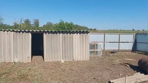 Деревенское содержание птиц. куры, гуси, утки .