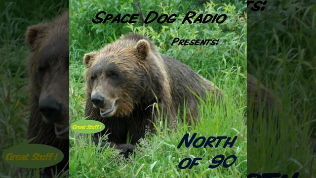 Average Dog / Catch Ya Next Orbit смотреть онлайн