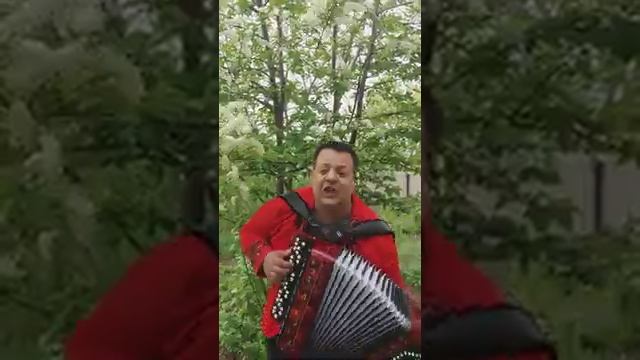 Черемуха белая смотреть онлайн