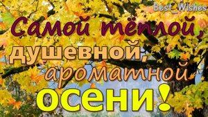 Самой Тёплой, Душевной, Ароматной Осени, КРАСИВАЯ Открытка Пожелание Отличной Золотой Осени в Стихах