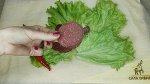 Чипсы мясные из оленины