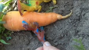 Динозавры/Dinosaurs/Хищные динозавры вышли охотиться на травоядных динозавров