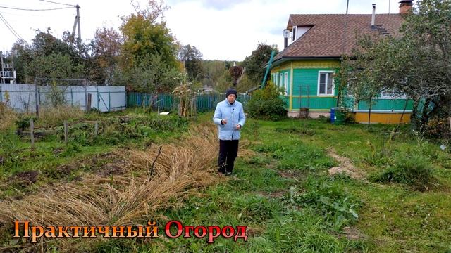 Арбузы на глине и в холоде вырастить легко!