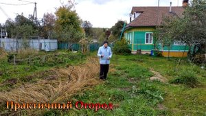 Арбузы на глине и в холоде вырастить легко!