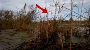 Охота. Hatsan 125.