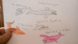 Самые интересные морские существа