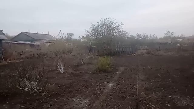 Рассадила лук // Весь день в огороде /\ смотреть онлайн