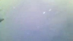 Ловля карася в Сызрани