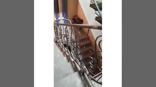 Как в лучших домах Лондона и Парижа!!! смотреть онлайн