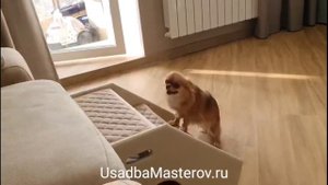 Прикроватная Лесенка-домик для собаки. Ступеньки для собак из дерева от производителя