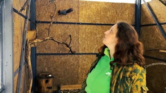 Белки в ЭПЦ "Русский быт"