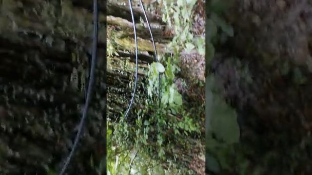 Водопады Архипо-Осиповка