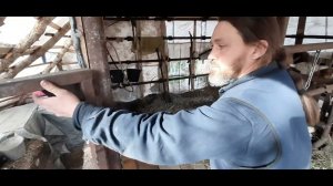 Строительство коровника