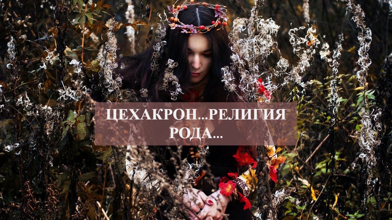 ЦЕХАКРОН...РЕЛИГИЯ РОДА... смотреть онлайн