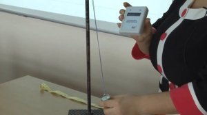 Физика. Проверка независимости периода колебаний груза, подвешенного к ленте, от массы груза