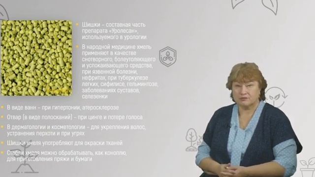 11 2 Хмель смотреть онлайн