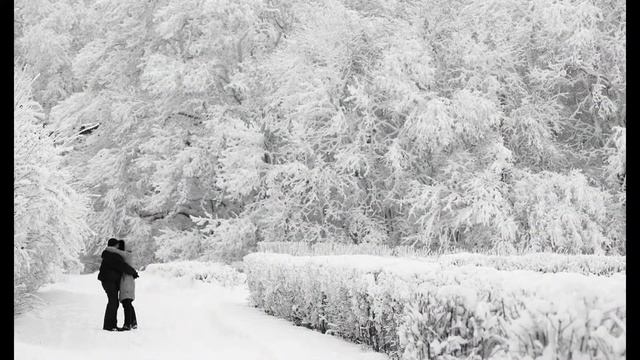 Зима как черно-белое кино смотреть онлайн