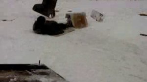 падение на горке!