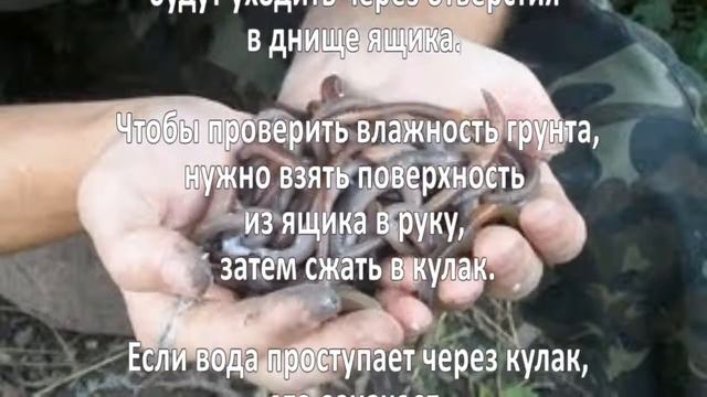 Разведение червей. Бизнес идея смотреть онлайн