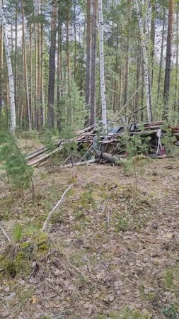 Шли, шли по лесу и нашли чьё-то жилище
