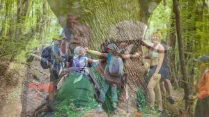 Туристические песни. Песни у костра. "Уа-уа"