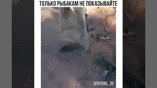 Поймал-Отпусти-жиза-прикол-рыбалка.mp4