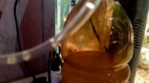 СО2 в аквариум своими руками