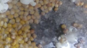 Карамельный поп-корн без сахара)