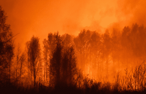 Мужчина заживо сгорел в машине, пытаясь спасти село близ Тюмени от пожара