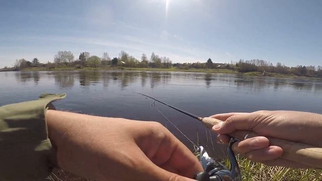 ГОЛАВЛЬ на новой реке в мае! Поиск голавля! Рыбалка на голавля весной! Рыбалка на Спиннинг! смотреть онлайн