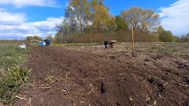 Подготовили часть земли к посадке картофеля. смотреть онлайн