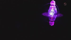 Ночная ловля со светлячком канального сомика на поплавочную удочку Fishing angeln câu cá рыбалка
