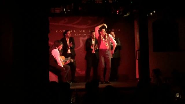 The Best Flamenco In The World! @Corral de la Morería, Madrid смотреть онлайн