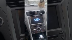 ПОМОГИТЕ ОТВЕТОМ!!! Черный экран на Mondeo 5.