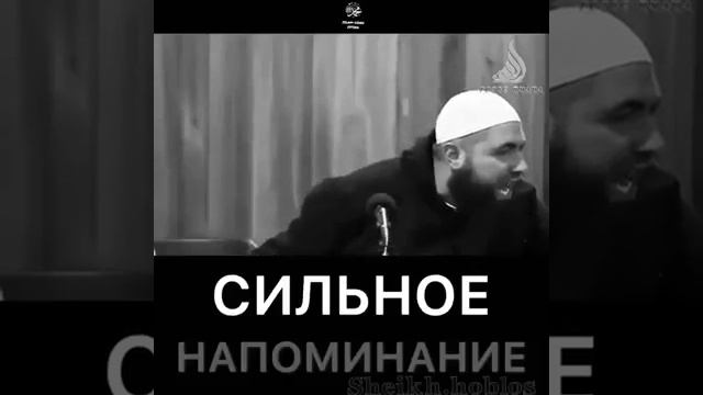 Мухаммад хоблос про гордыня и высокомерие смотреть онлайн