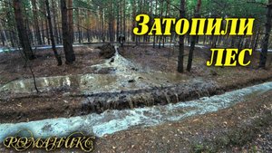 Весенние приключения кладоискателей