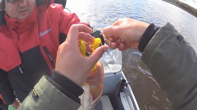 Мой Рекорд по Щуке 9кг | Ловля на Джиг Поздней Осенью | Рыбалка на Каме |1080p |"BF"-№ 59 смотреть онлайн