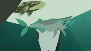 Про Белую Акулу. Братья Кратт: Зов Природы. Новая серия. Канал Детишки