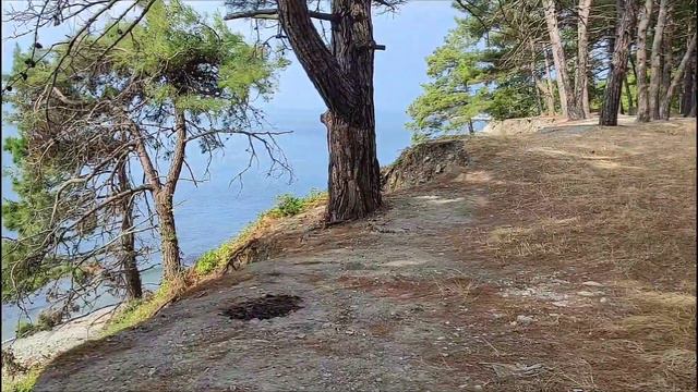 ДИКИЕ И ЗАБРОШЕННЫЕ ПЛЯЖИ МЕЖДУ ТУАПСЕ И ПОСËЛКОМ ОЛЬГИНКА 🤗👍🌴🏖🪴🔥💯😎🌊🤞🌞👍🤩