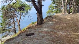 ДИКИЕ И ЗАБРОШЕННЫЕ ПЛЯЖИ МЕЖДУ ТУАПСЕ И ПОСËЛКОМ ОЛЬГИНКА 🤗👍🌴🏖🪴🔥💯😎🌊🤞🌞👍🤩