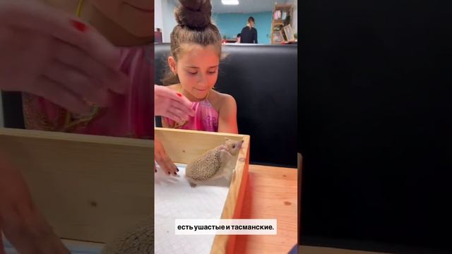 Кафе «Ежеминутка» . #кудасходитьвмоскве #кудасходитьвмосквесдетьми #ежеминутка #ежи #кафемосква