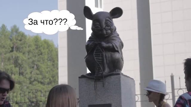 Памятник лабороторной мыши в Академгородке использовали для какого-то обряда смотреть онлайн