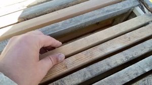 Жесть на пасеке, пчелы есть а меда нет.