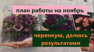 Анонс работ на  ноябрь. Для чего черенкую вербену так рано. Результат укоренения дипладении.