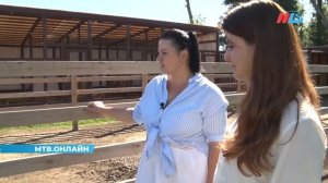 Эму, фазаны и павлины: в Волгоградской области работает ферма-парк экзотических птиц