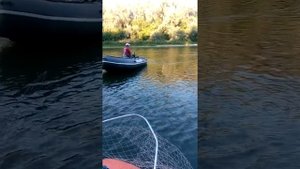 Дон Вертячий сазан рыбалка август 2020