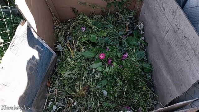 Как просто сделать компостник из сетки рабица смотреть онлайн