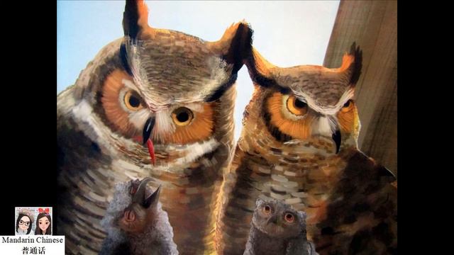 Do You Really Want to Meet an Owl? by Bridget Heos 你想见猫头鹰吗？  绘本阅读