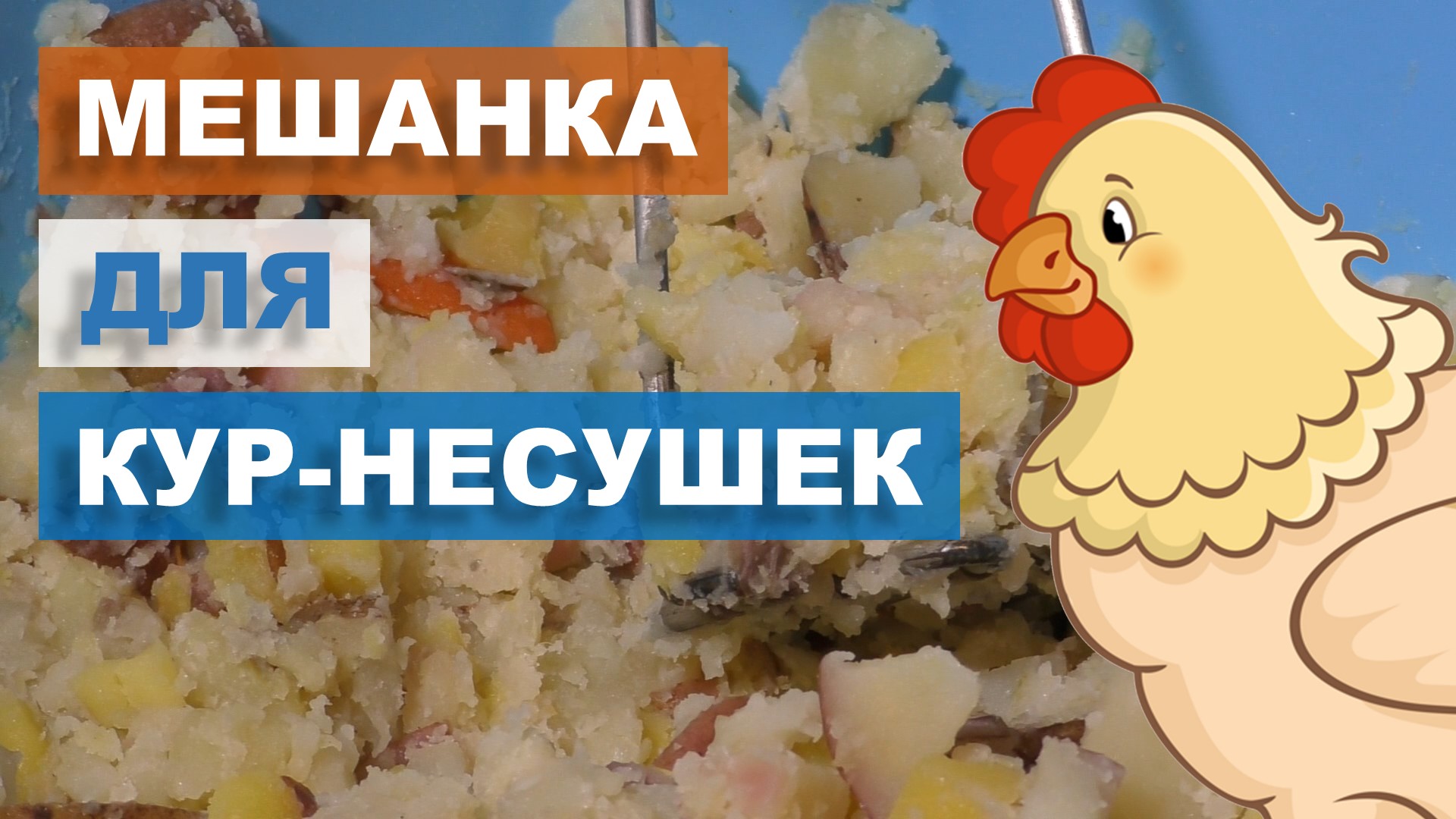 Мешанка для кур как приготовить. Как делать мешанки для кур несушек. Еда для уточки лалафанфан из бумаги. Еда для уточки лалафанфан распечатать.