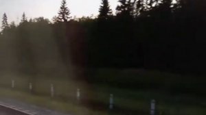 Утро на перегоне Спирово — Калашниково 27.07.2021